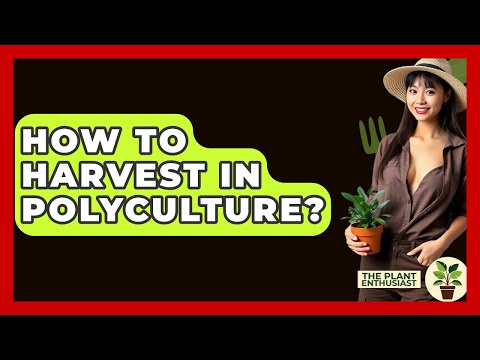 How To Harvest In Polyculture? - The Plant Enthusiast