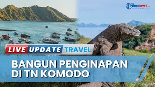 TN Komodo Kini Jadi Wisata Alam Edukasi Bertaraf Internasional, Peneliti Bisa Menginap