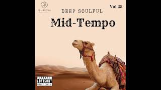 Download lagu Deep Soulful Mid-Tempo Vol 25 Mixed Dj Luk-C S.A mp3