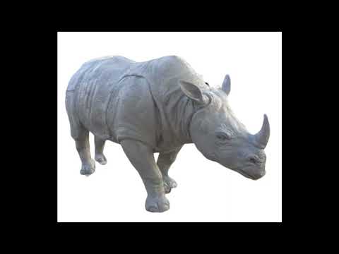 FRP Rhino Statue