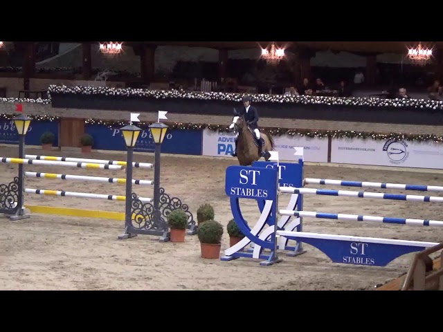 Mother is CSI 1.50m mare Elryia Sitte.