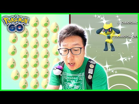 Riolu Hatch Day! The BEST Shiny Event Ever in Pokemon GO!