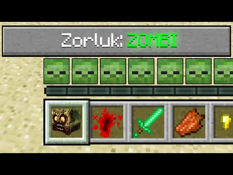 ISMETRG VS ZOMBİ ZORLUK - Minecraft