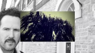 Race You To The Light