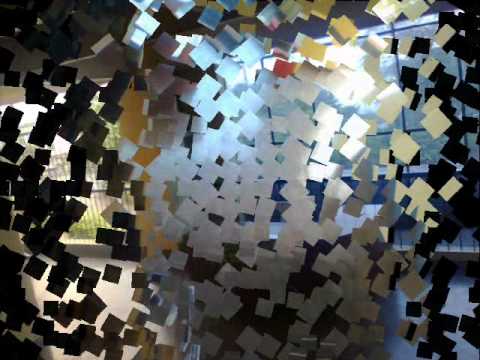 mkv charles darwin wmv