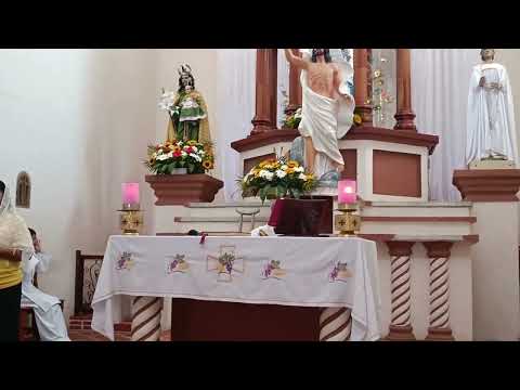 IV Domingo de Pascua 2026 Domingo del Buen Pastor 