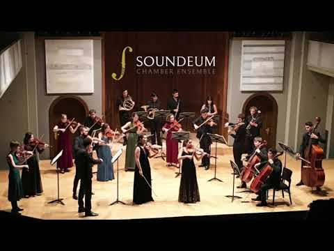 W.A. Mozart - Sinfonia Concertante in Es-Dur 3. Satz - Soundeum Chamber Ensemble