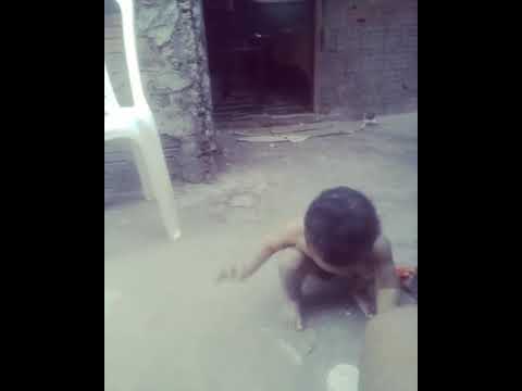 Dada Gugu ele ama essa musica