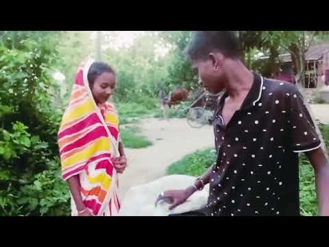 Palasi video