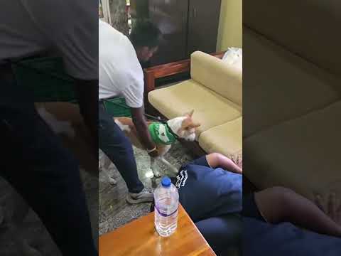 There is something that makes Aloka look. 🤔🤔