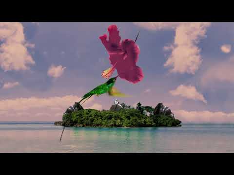 Zara McFarlane - Black Treasure