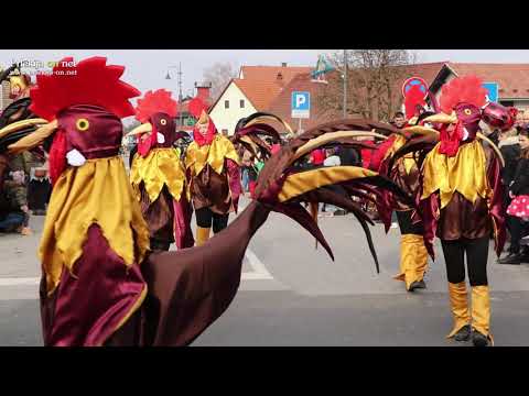 Kokoti iz Juršincev