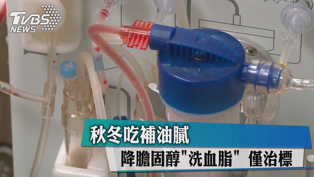 秋冬吃補油膩 「洗血脂」降膽固醇僅治標