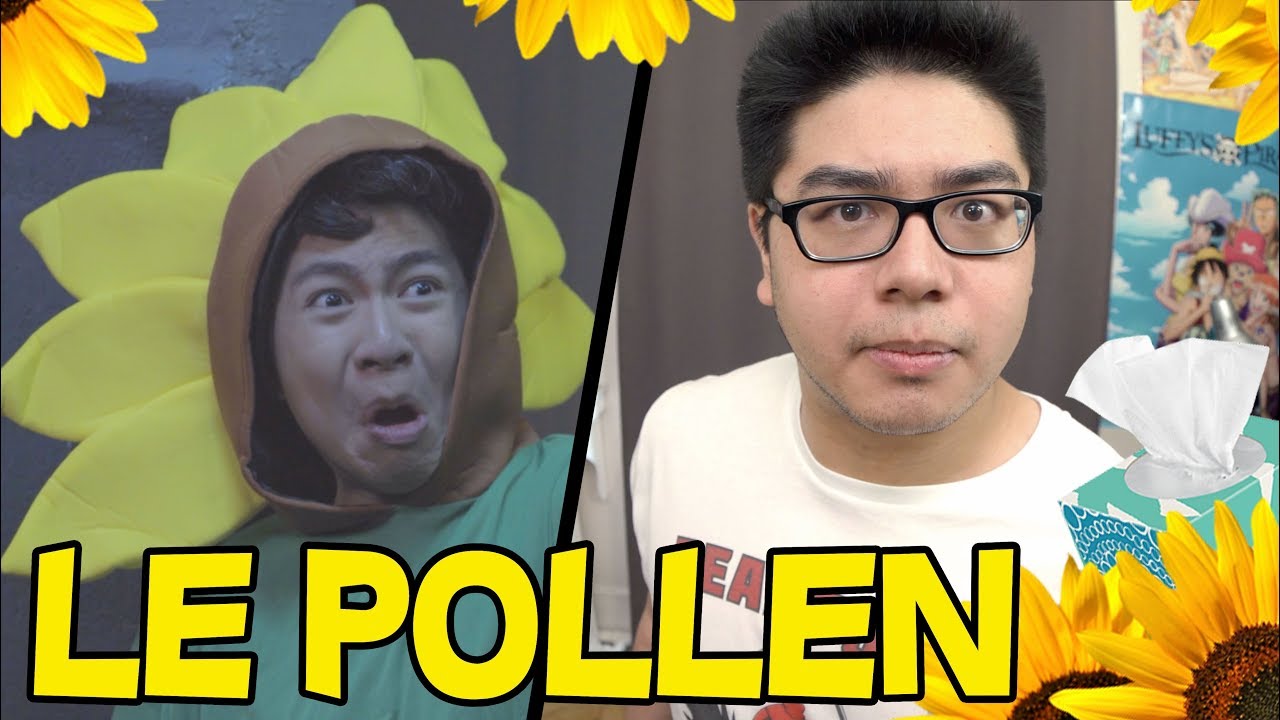 ÊTRE ALLERGIQUE AU POLLEN ! - LE RIRE JAUNE