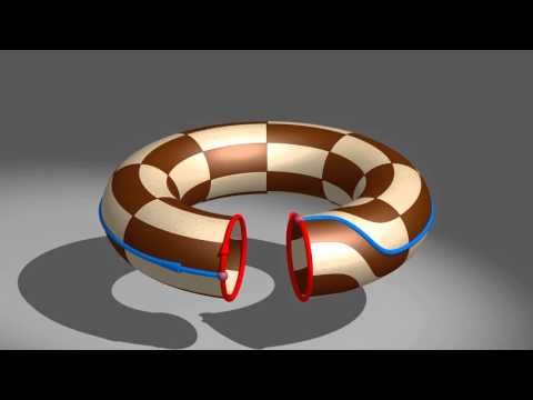 Twist de Dehn sur le tore