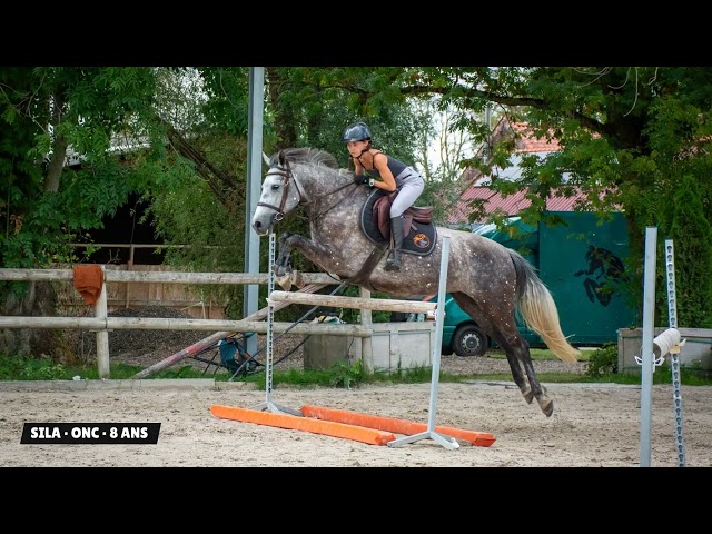 SILA &middot; Jument &middot; 1,55 m &middot; CSO