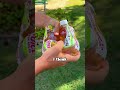 What LOUD Apple Juice Looks Like