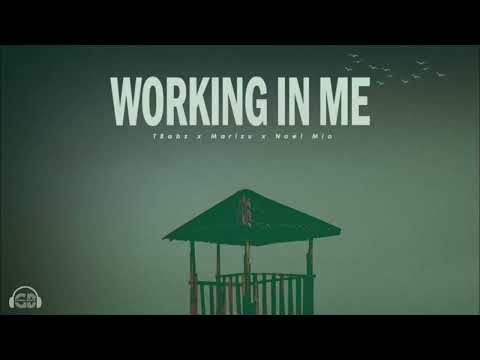 Marizu X TBabz X Noël Mio  - Working In Me