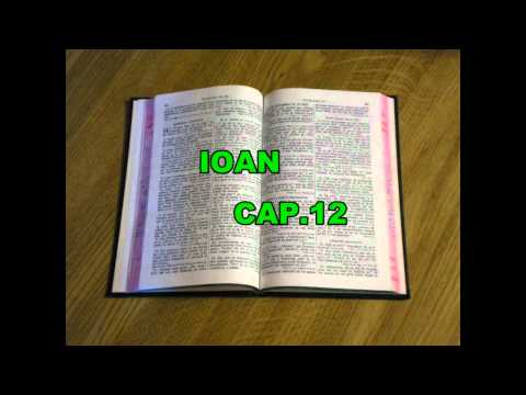 EVANGHELIA DUPA IOAN CAPITOLUL 12