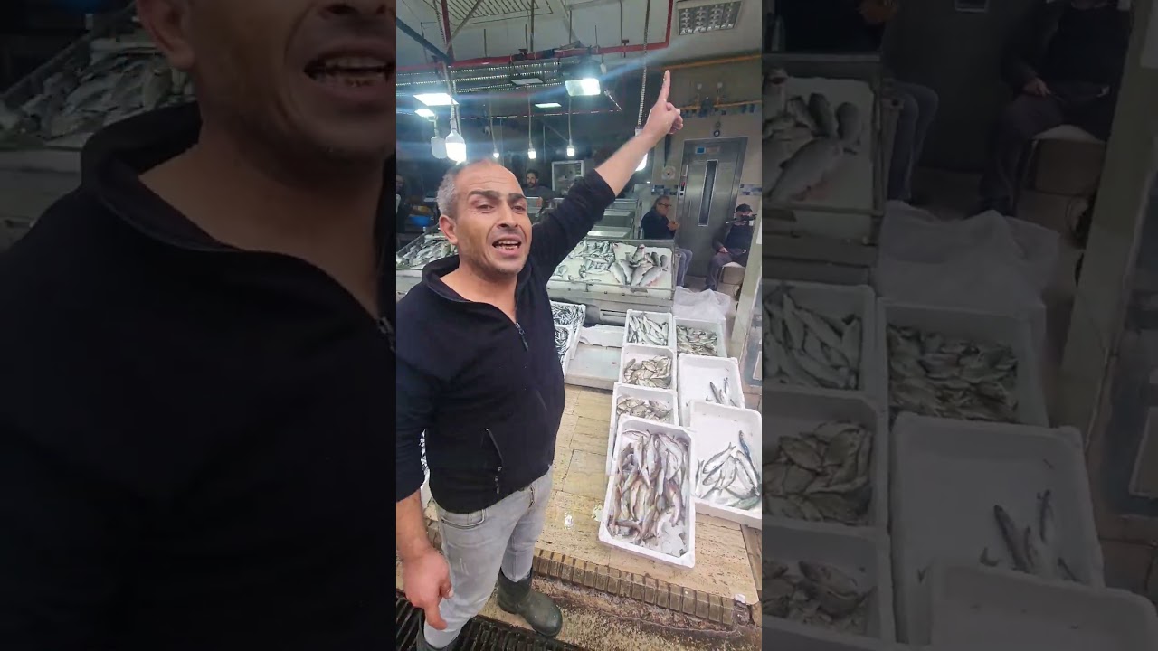 Denizden hamsi fışkırdı. Hamsi 50 TL'ye düştü