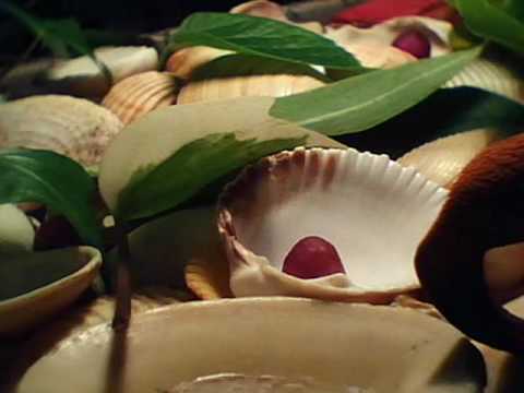 Summertime - François-Joseph Gossec, Tambourin