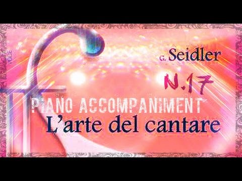 Seidler n.17 - Piano Accompaniment (Play - Along)