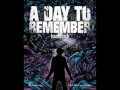 When 3's a Crowd - A Day to Remember 