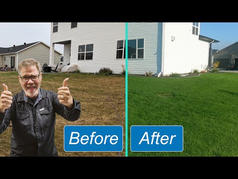 Growing Grass - Seeding A Lawn In Fall + Fertilizer with Results || No Machines Required