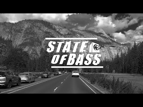GATTÜSO - Bad Decisions