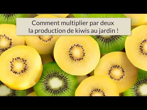 download lagu mp3 mp4 Poliniser, download lagu Poliniser gratis, unduh video klip Poliniser