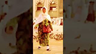 Download lagu Jinak jinak Merpati. #jalanjalan #traveling #mekkah #merpati mp3