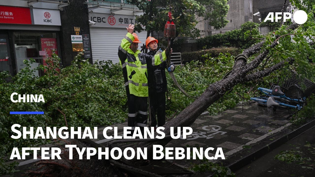 Shanghai cleans up after strongest storm in decades hits Chinese megacity | AFP