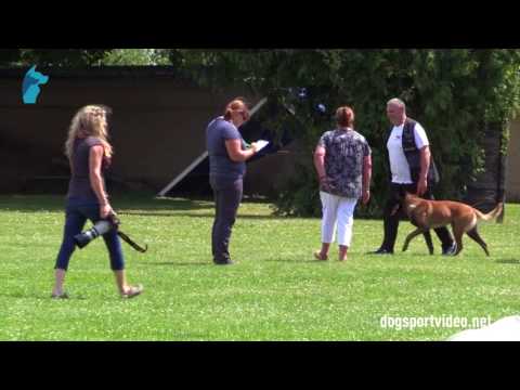 1. DMV Championat - Eugeniusz Krause - Bongo Maligold