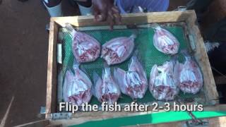 Post-harvest Fish Handling and Technologies