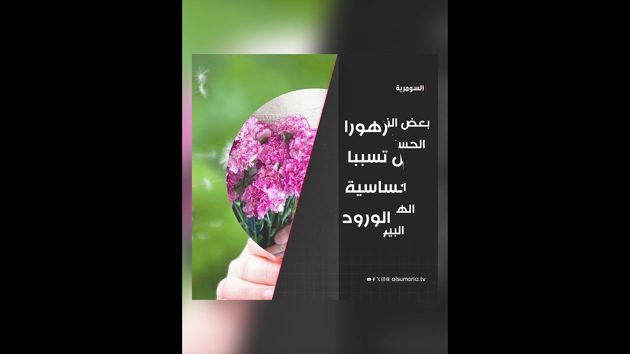 فيديو | نصائح لتجنب أعراض الحساسية مع اقتراب الربيع#shorts