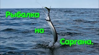 Ссылка