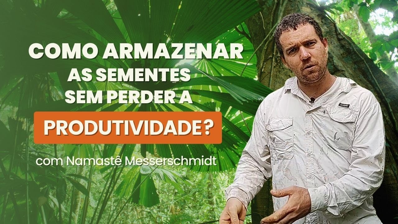Como armazenar as sementes sem perder a produtividade?
