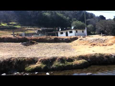 DIA DE TRUCHAS EN LAS MESAS