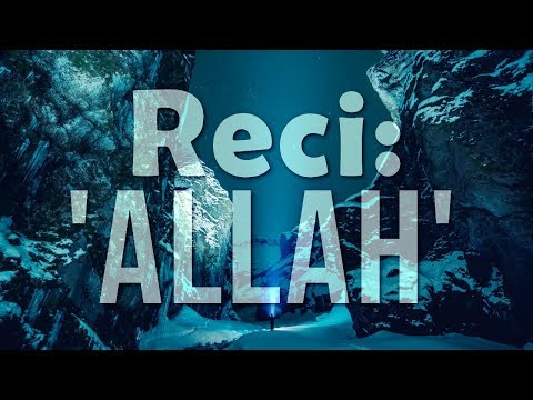 ZOVITE 'ALLAH' ILI ZOVITE 'MILOSTIVI'! - mr. Harmin Suljić ᴴᴰ┇N-UM