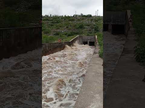 A comporta da barragem de Lagoa do Carro-PE 04/04/24