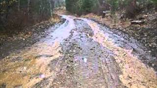 maggie creek road by reba mecentire