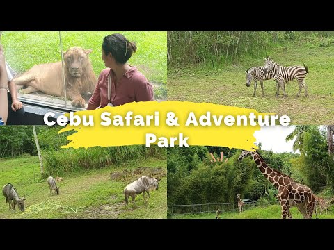 Cebu Safari & Adventure Park | Vanell Obcianal