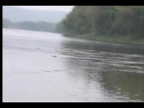 Kurt Steiner - World Record holder in Stone Skipping