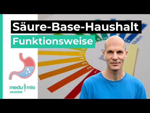 Säure-Base-Haushalt: So funktioniert das Zusammenspiel in Deinem Körper 🩸 Christian Dittrich-Opitz