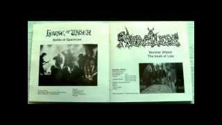 Various - [Projections Of A Stained Mind #14] TRAUMATIC - A Putrid Reek of Mangled Remains