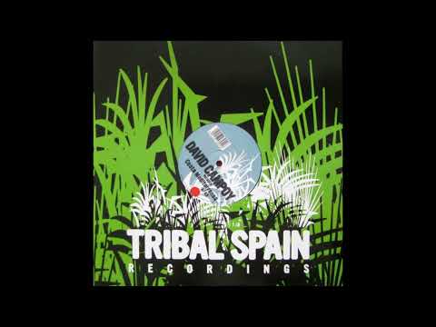 David Campoy - Raices Del Sur