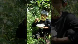 Download lagu babadotan/jukut bau di kejoan, mantap banget  #videolucu #makan  #suasanapedesaan #ngakak mp3