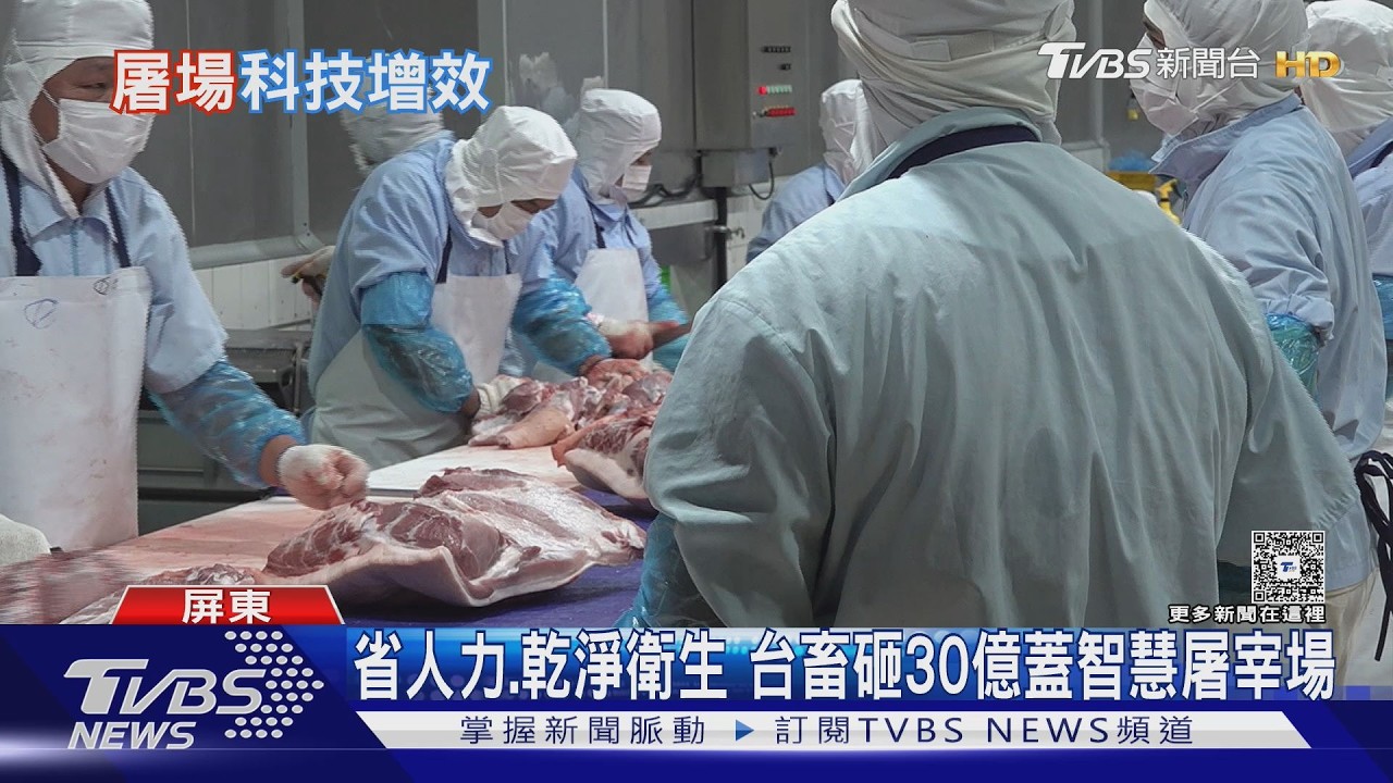 台畜砸30億建AI屠宰場！智慧手臂取代人工　年產能飆破50萬頭