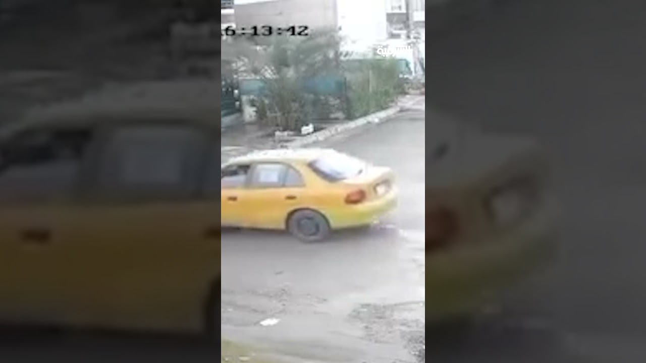 فيديو | كلاب سائبة تهاجم أطفالاً أثناء عودتهم من المدرسة في كركوك