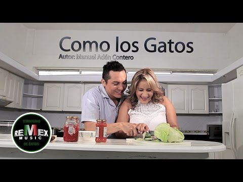 Dora Libia - Como los gatos ft. La Trakalosa de Monterrey (Video Oficial)